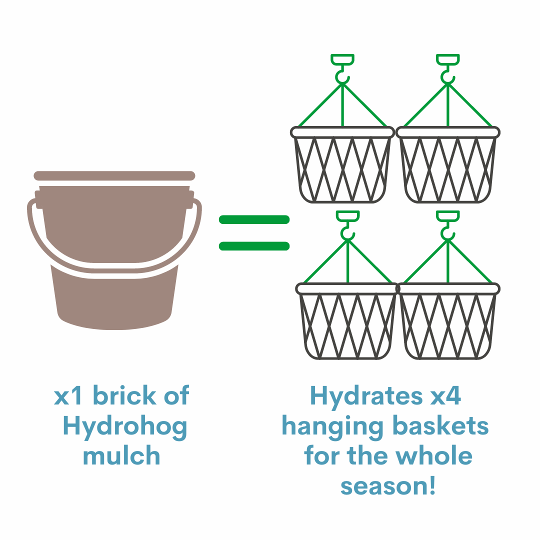 Continuos Plant Hydration Continuos Plant Hydration
