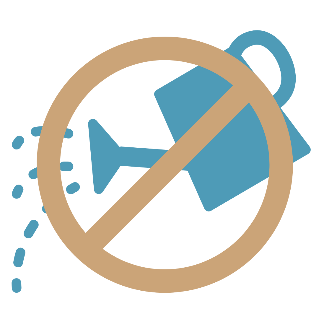 Throw away your watering can! Throw away your watering can!